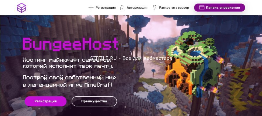 Слив шаблона игрового хостинга Minecraft